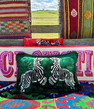 Load image into Gallery viewer, Velvet Ikat Fringe Cushion - Zebra 🦓
