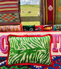 Load image into Gallery viewer, Velvet Ikat Fringe Cushion - Green Zebra 🦓