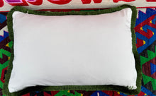 Load image into Gallery viewer, Velvet Ikat Fringe Cushion - Pink Zebra 🦓